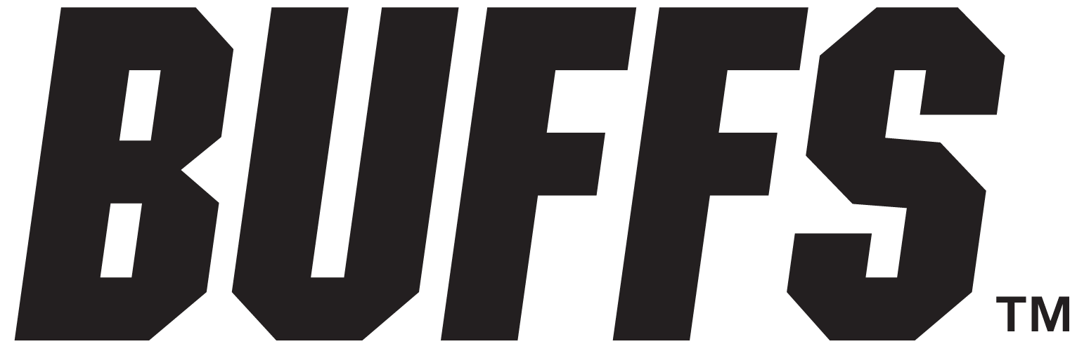 Colorado Buffaloes 2006-Pres Wordmark Logo DIY iron on transfer (heat transfer)